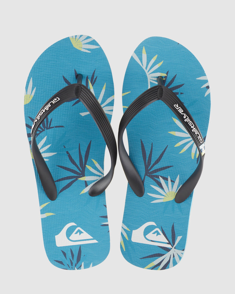 Mens Molokai Art Beach Thongs