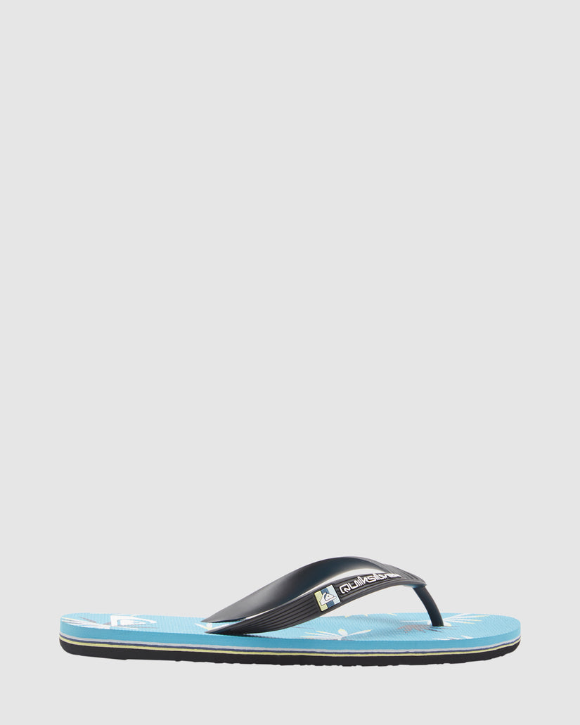 Mens Molokai Art Beach Thongs