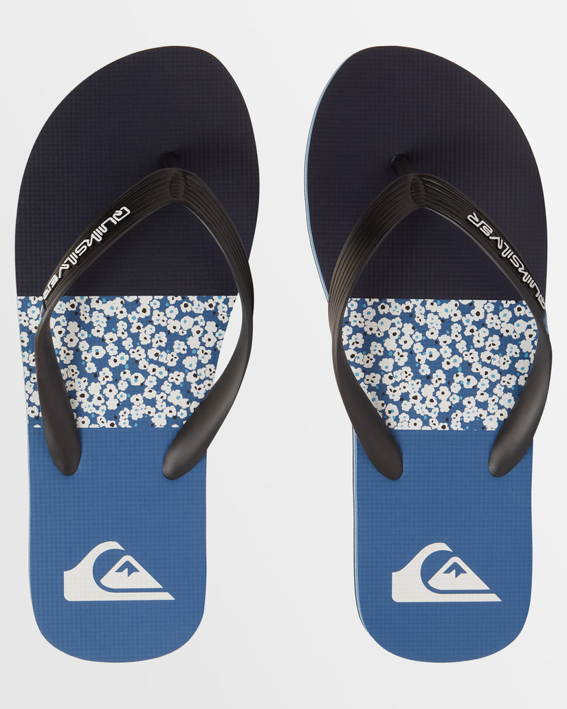 Mens Molokai Art Beach Thongs