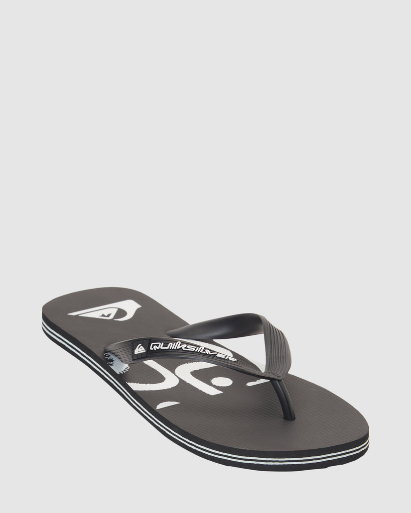 Mens Molokai Art Beach Thongs