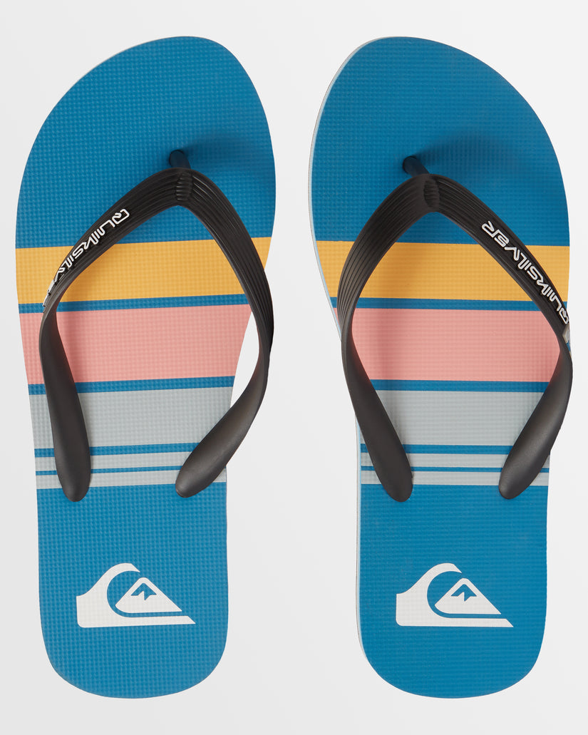 Mens Molokai Stripe Beach Thongs