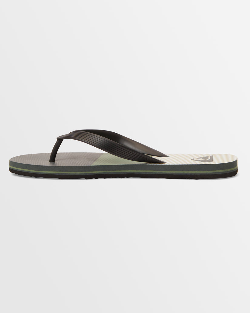 Mens Molokai Stripe Beach Thongs