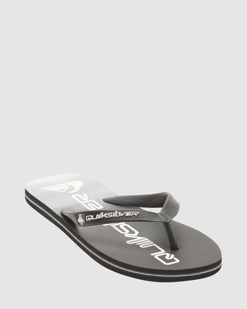 Mens Molokai Stripe Beach Thongs