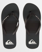 Mens Molokai Stripe Beach Thongs