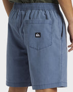 Mens Taxer Walkshorts