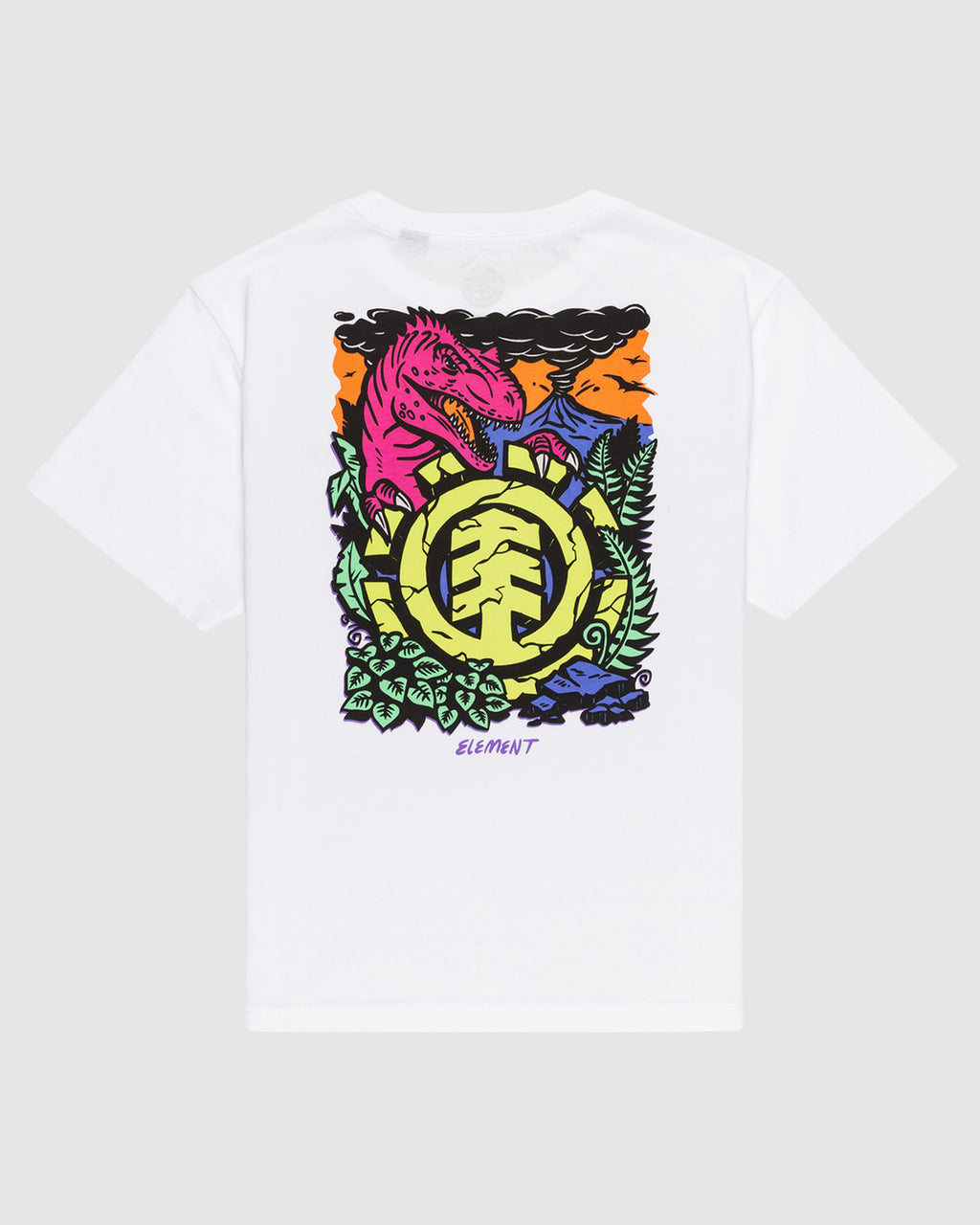 Boys 8-16 Jurassic Short Sleeve T-Shirt