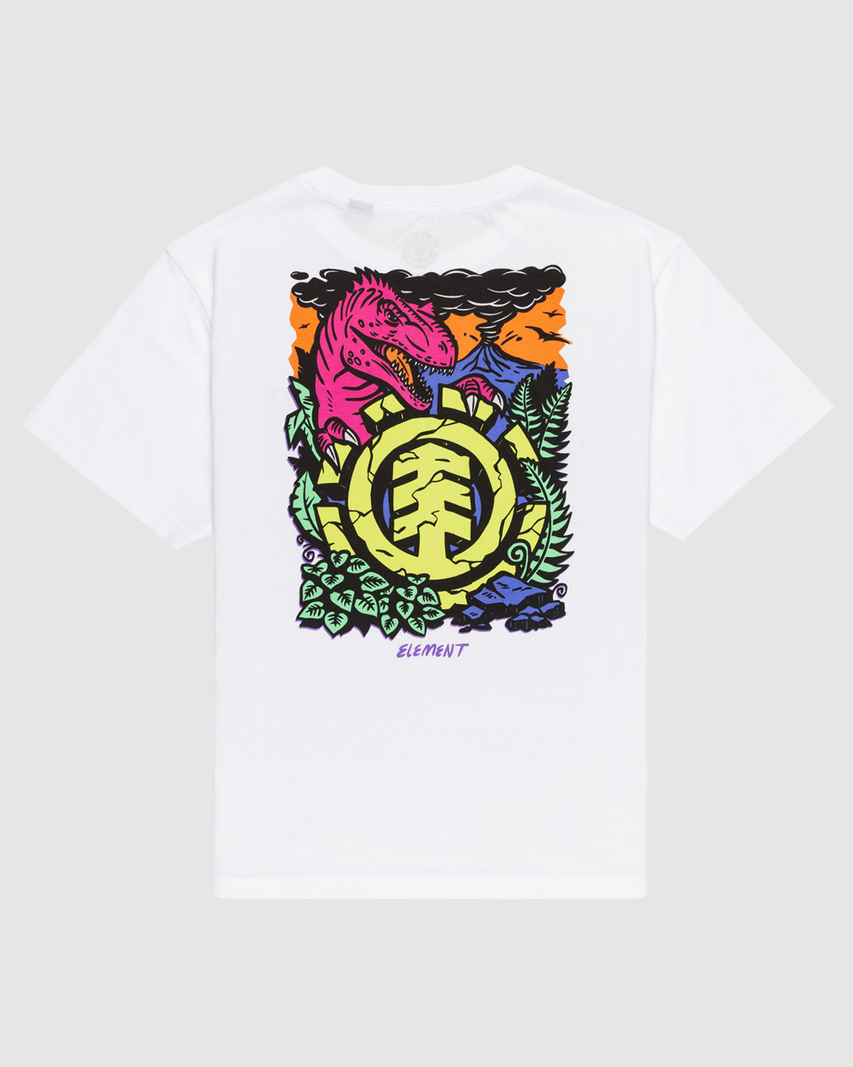 Boys 8-16 Jurassic Short Sleeve T-Shirt