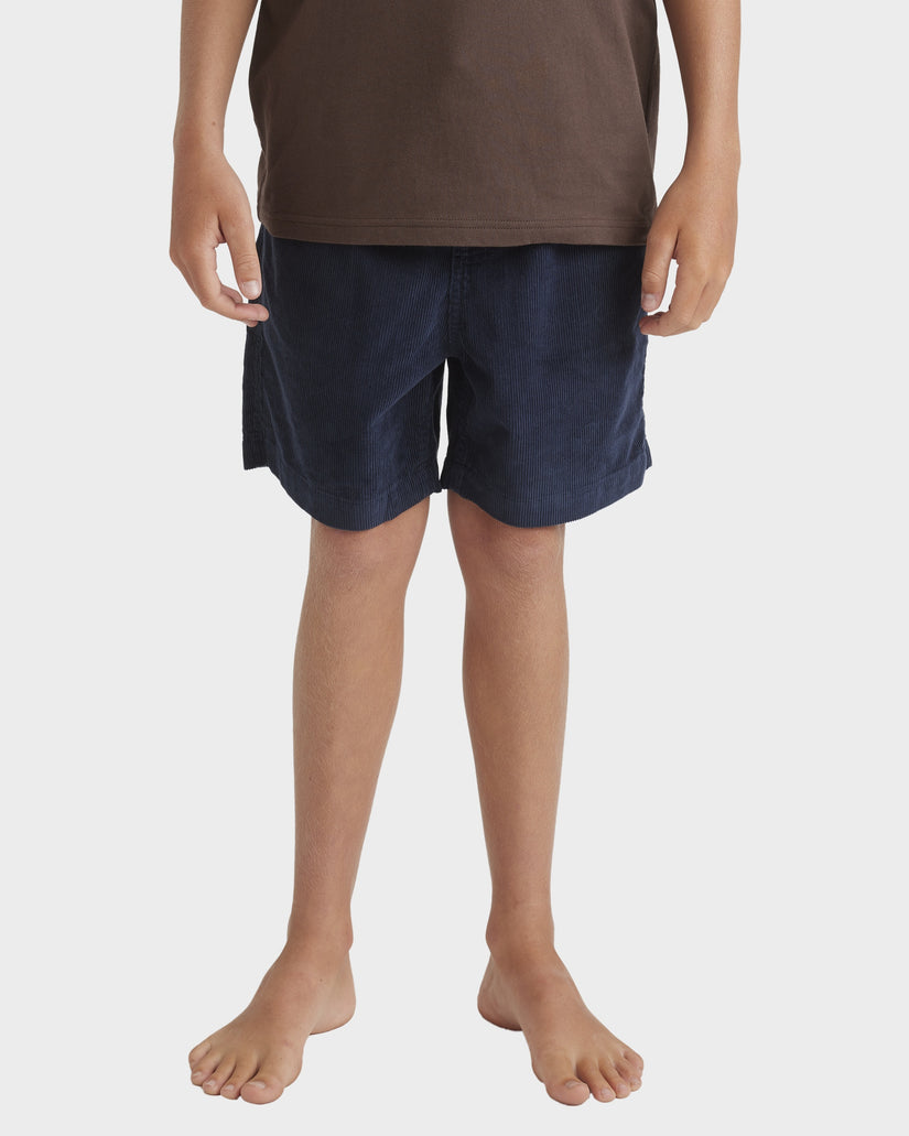 Boys 8-16 Taxer Cord Walkshorts