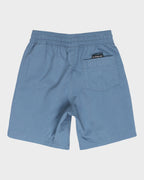 Boys 2-7 Vert Volley 13" Swim Shorts