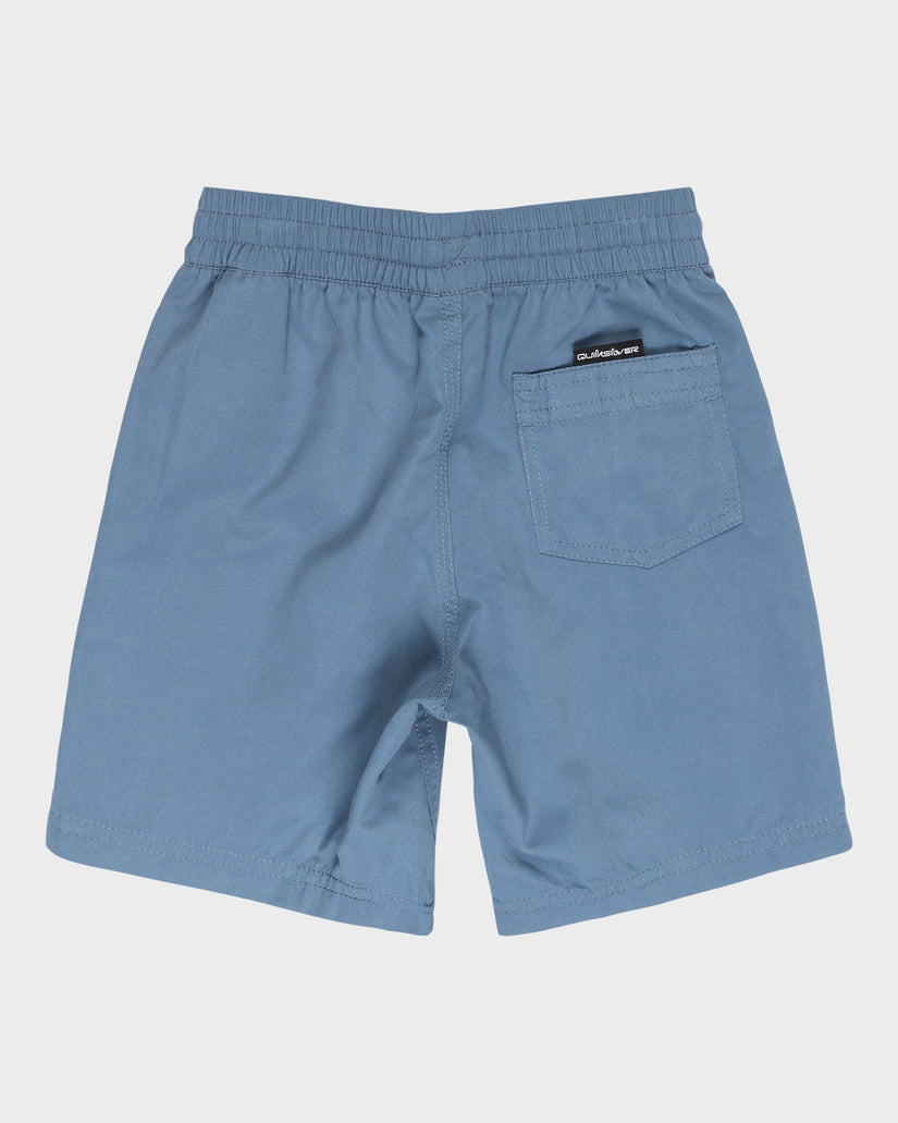 Boys 2-7 Vert Volley 13" Swim Shorts