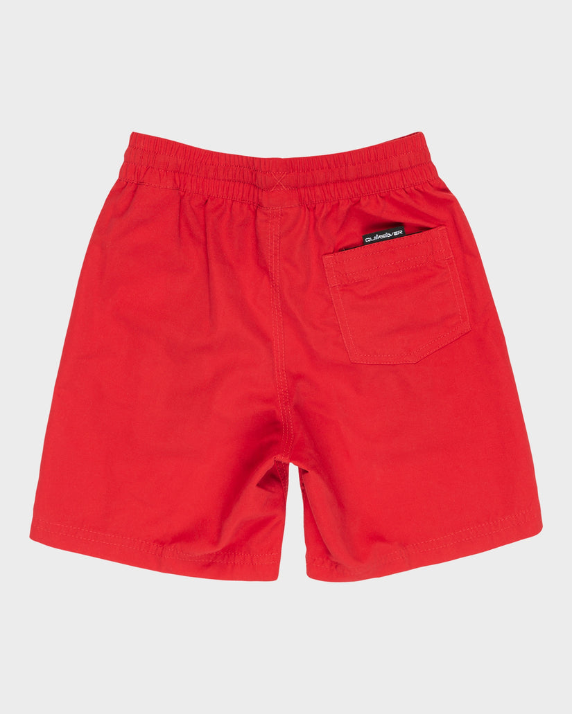 Boys 8-16 Vert Volley 13" Swim Shorts