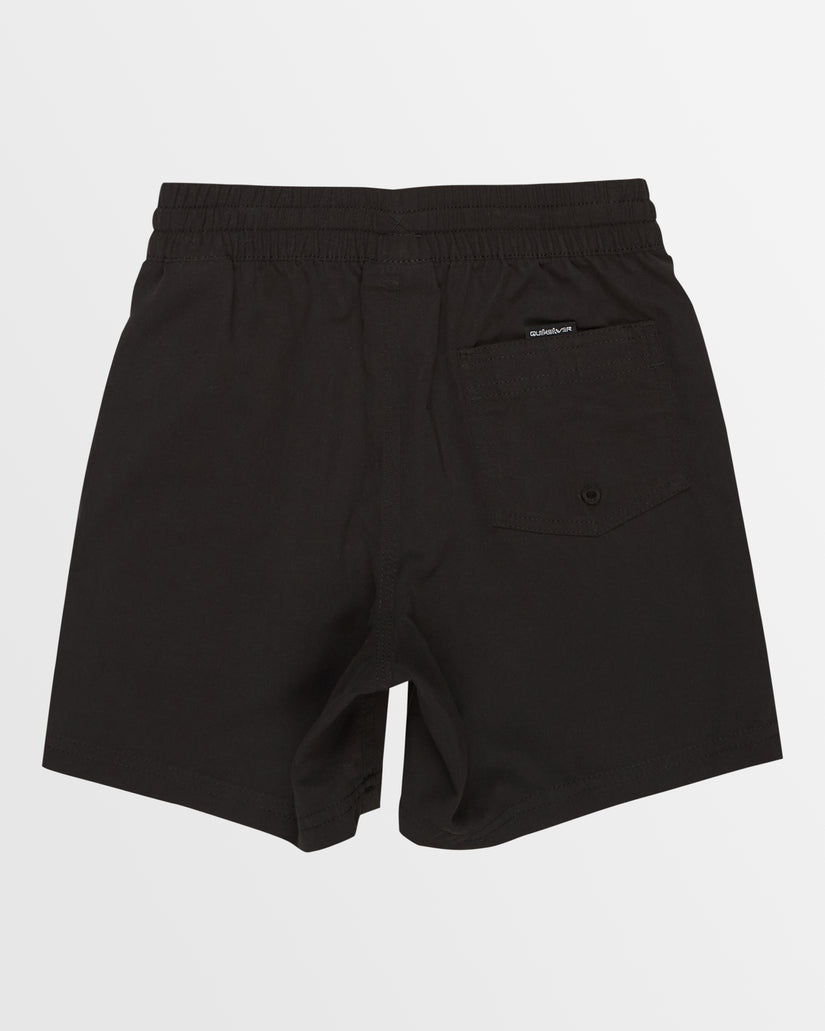 Boys 2-7 Everyday Vert Volley 12" Swim Shorts