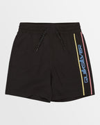 Boys 2-7 Everyday Vert Volley 12" Swim Shorts