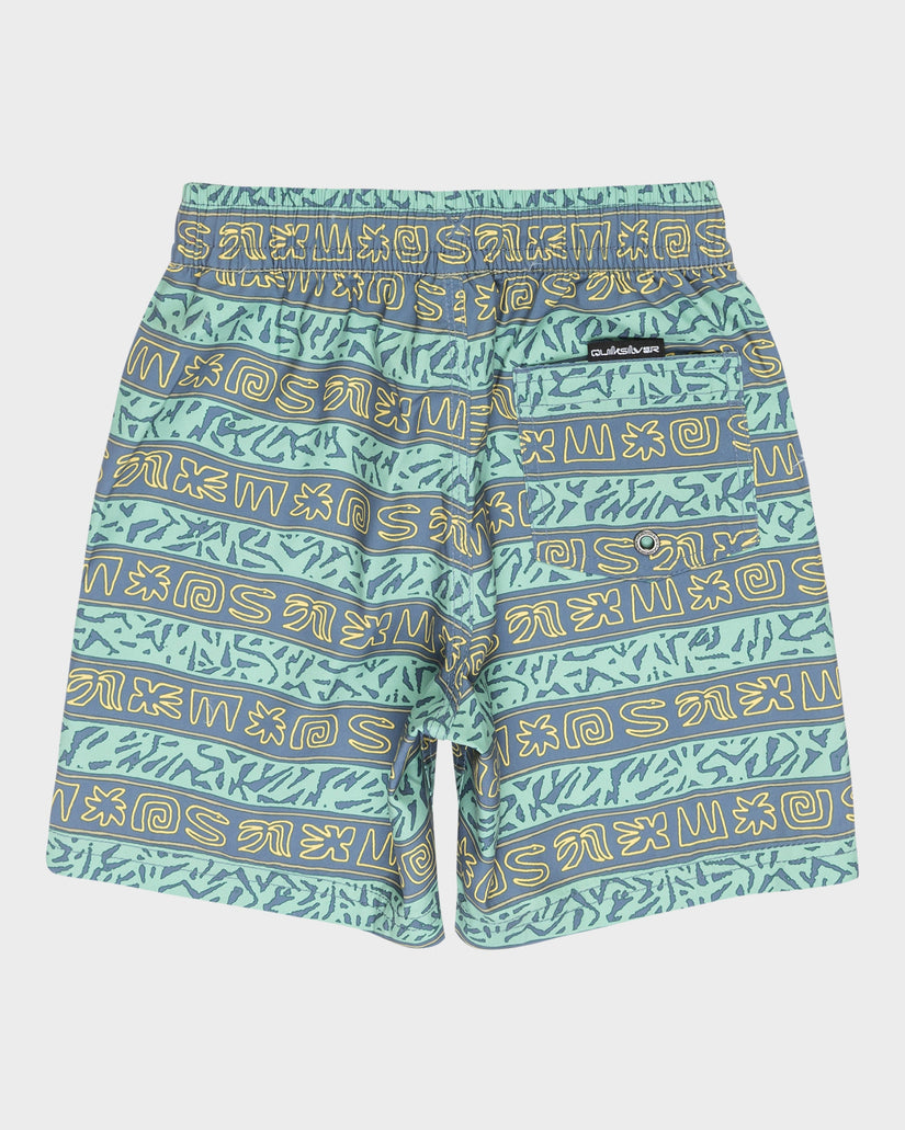 Quiksilver Boys 2-7 Everyday Printed 13