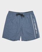 Mens Everyday Volley 17" Swim Shorts
