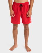 Mens Everyday Volley 17" Swim Shorts