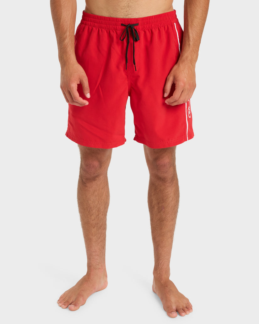 Mens Everyday Volley 17" Swim Shorts