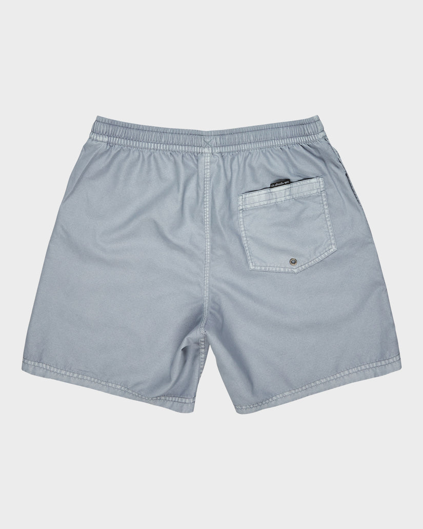 Mens Everyday Volley 17" Swim Shorts