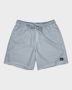 Mens Everyday Volley 17" Swim Shorts