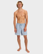 Mens Everyday Volley 17" Swim Shorts