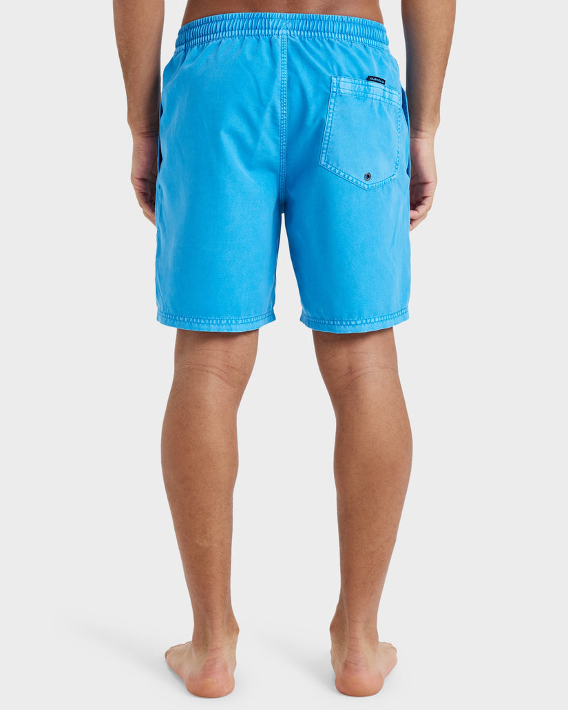 Mens Everyday 17" Swim Shorts