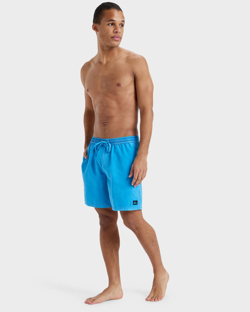 Mens Everyday 17" Swim Shorts