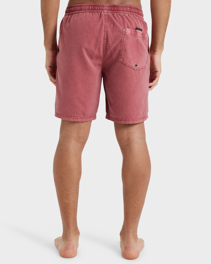 Mens Everyday 17" Swim Shorts