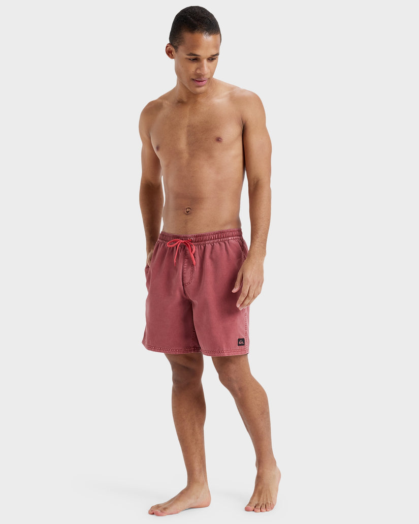 Mens Everyday 17" Swim Shorts