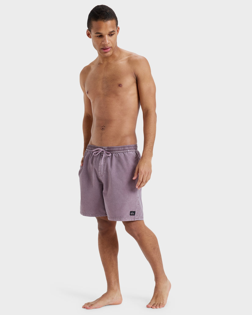 Mens Everyday 17" Swim Shorts