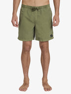 Mens Everyday Surfwash Volley 17" Swim Shorts