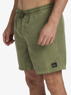 Mens Everyday Surfwash Volley 17" Swim Shorts