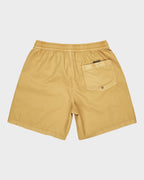 Mens Everyday Volley 17" Swim Shorts