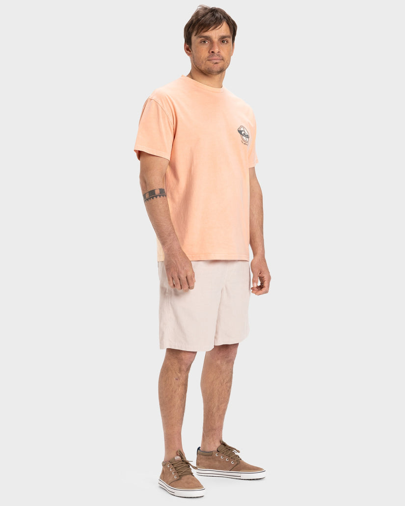 TAXER CORD WS