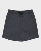 Mens Taxer 19" Walkshorts