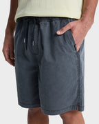 Mens Taxer 19" Walkshorts