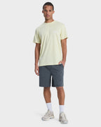 Mens Taxer 19" Walkshorts