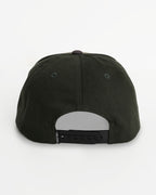 f5512601_volcom_spl_bck1
