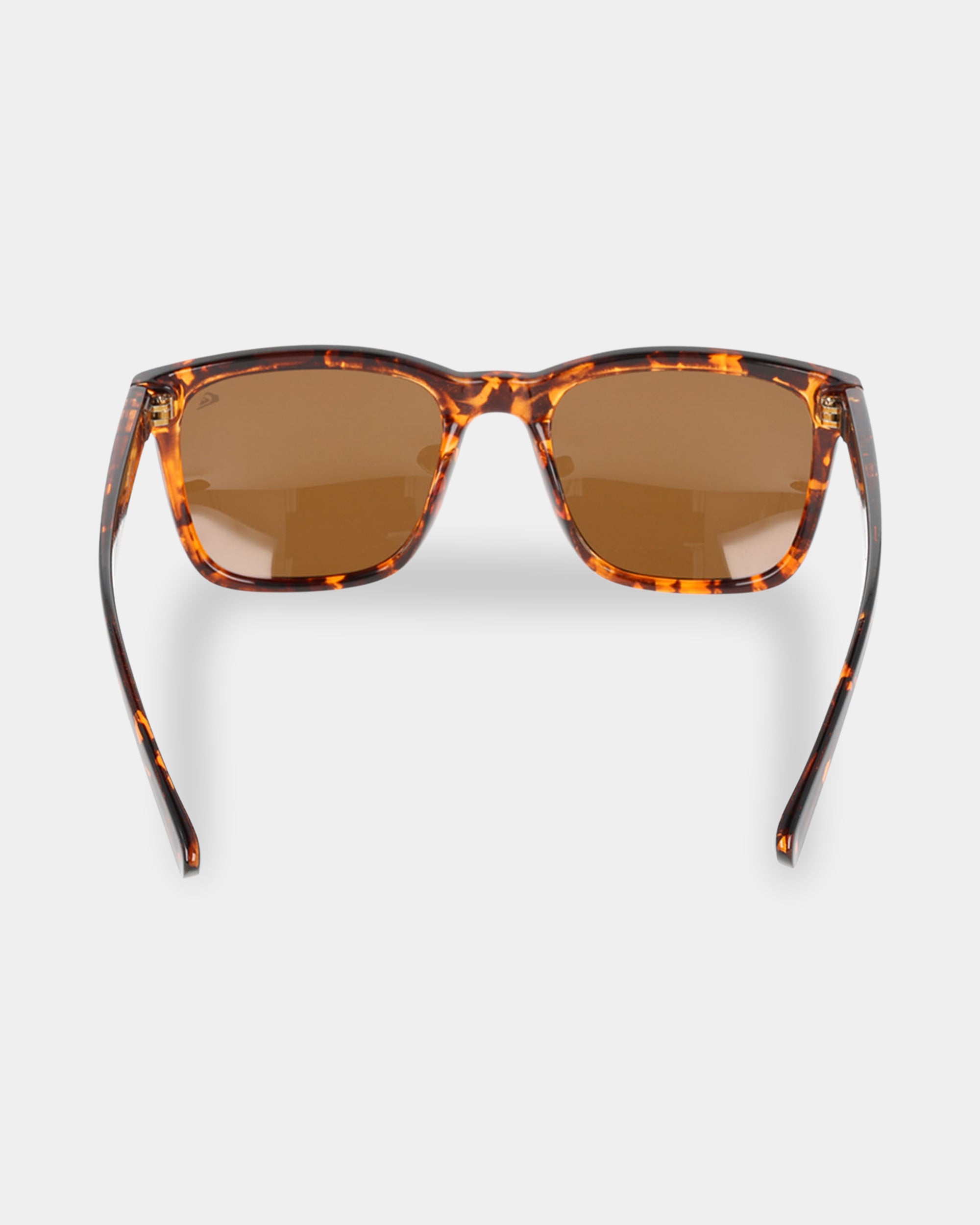 Mens Driftwood Polarised Sunglasses