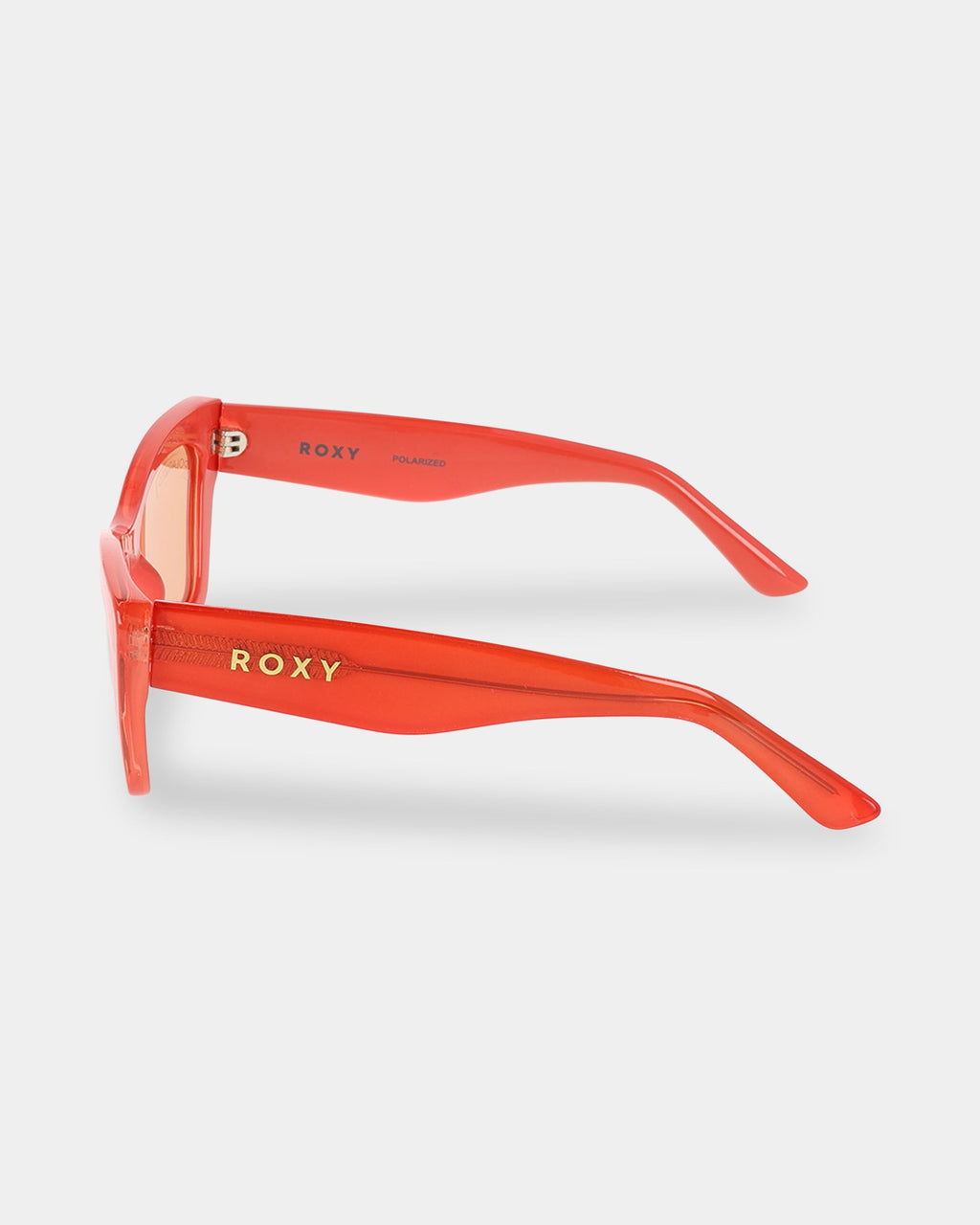 rs1000p_roxy_831_sd1