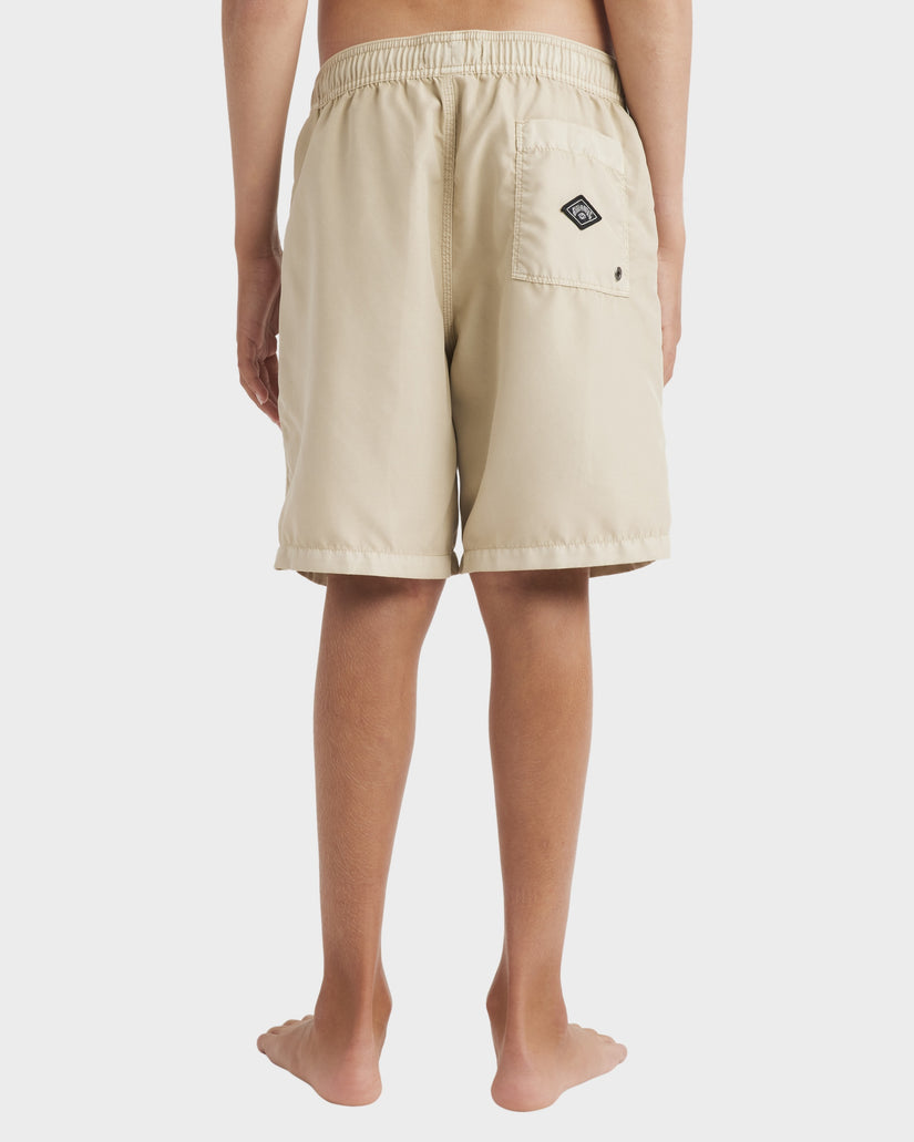 Boys 8-16 All Day Overdye Layback Boardshorts