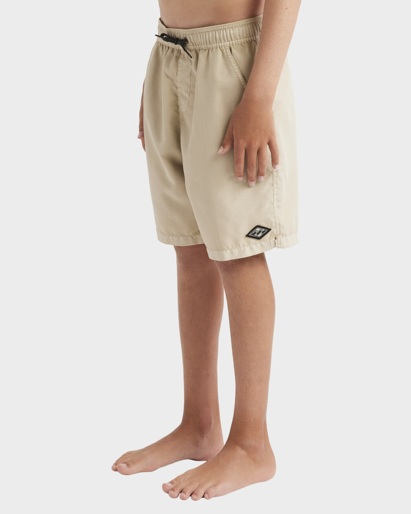 Boys 8-16 All Day Overdye Layback Boardshorts