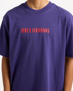 ubbzt00357_billabong_fig_dtl1