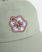 ubjha00458_billabong_seg_dtl1