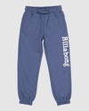 Boys 0-7 Team Elastic Beach Pants