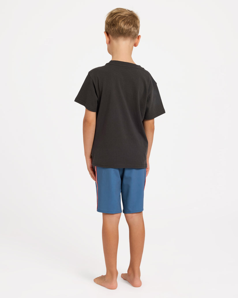 ubtzt00230_billabong_rav_bck1