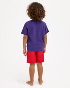 ubtzt00235_billabong_fig_bck1