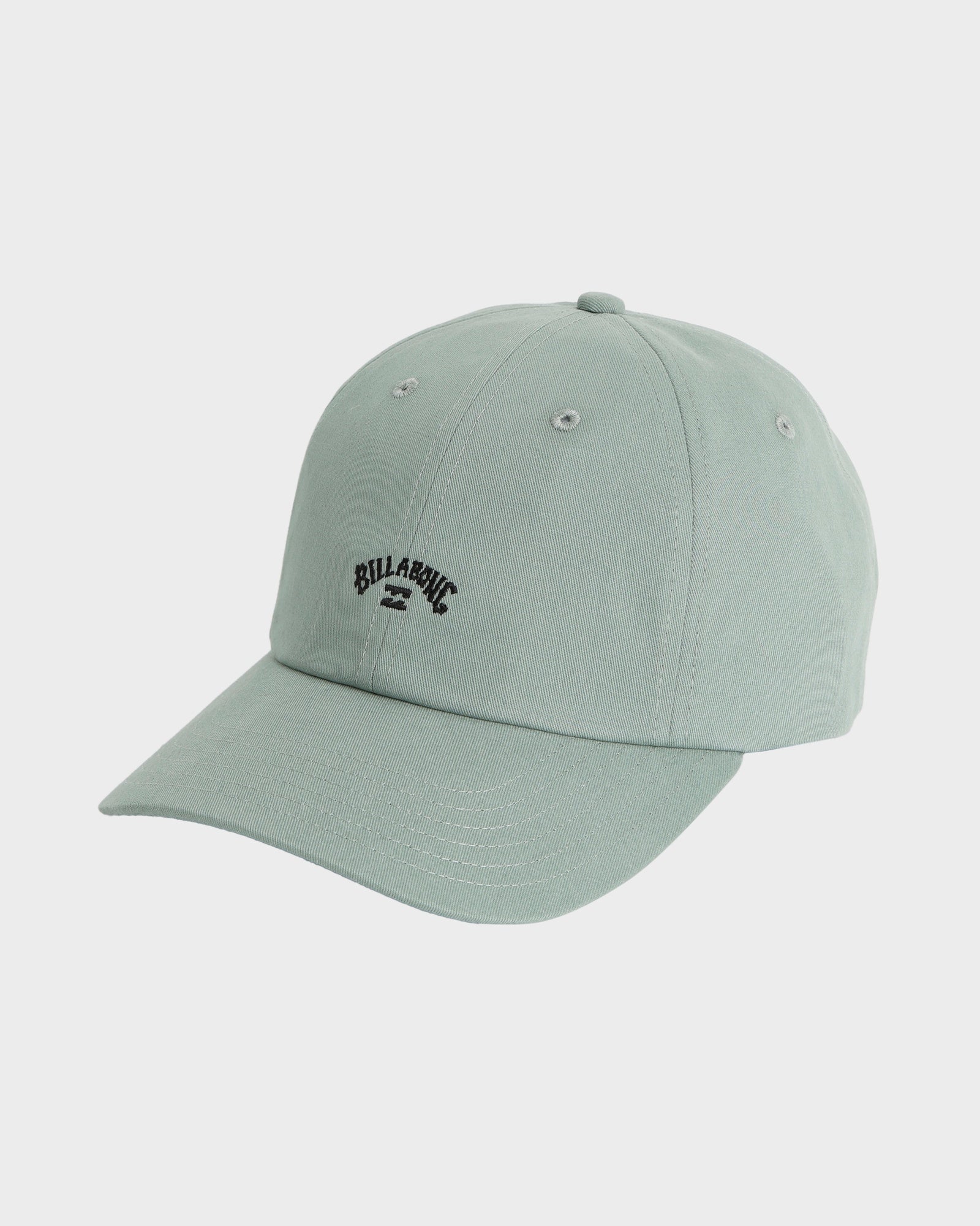 Mens Peyote Washed Dad Cap
