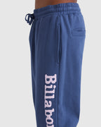 Mens Team Elastic Beach Pants