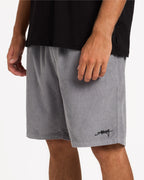 ubyws00157_billabong_aly_sd6