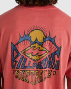 ubyzt00513_billabong_crl_dtl1